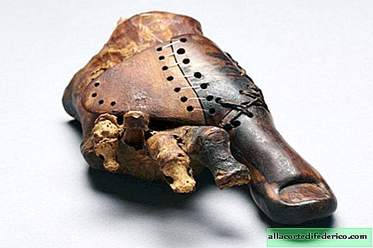 Tarina hämmästyttävästä proteesista muinaisesta Egyptistä