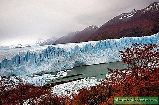 Tout est visible de l'espace: la Patagonie perd également ses glaciers