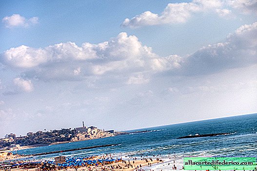 Israel for independent travel: travel by bus