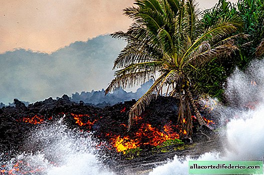 Uitbarstende Kilauea: Fantastic Beauty Volcano Hawaiian Goddess