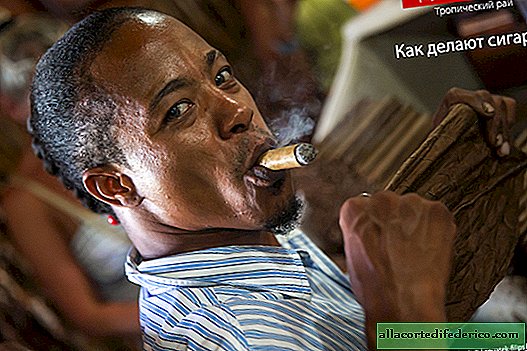 Hvordan laver man cigarer i Den Dominikanske Republik?