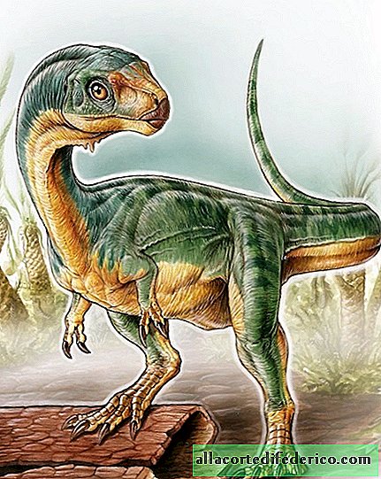 육식 공룡이 초식 동물로 변한 방법