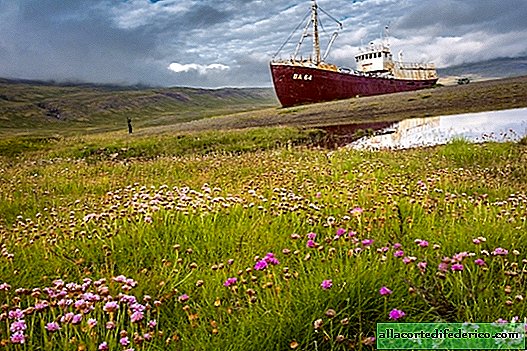 Wie ein isländisches Geisterschiff an der Küste landete