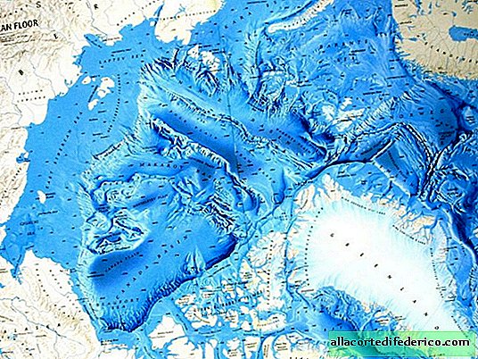 ทะเลสาบอาร์กติกกลายเป็นอย่างไรในมหาสมุทร