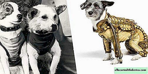 What did the Soviet spacesuit look like for famous astronaut dogs