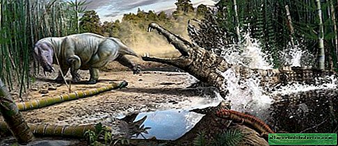 Hvordan vulkaner hjalp dinosaurer med at overtage Jorden