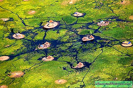 How do Nilots live, whose houses are in the middle of Africa’s largest swamp