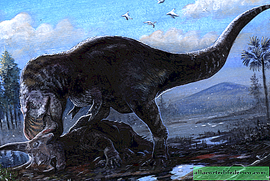 Quelle était la force dans la gueule d'un tyrannosaure