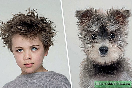 What a master, such a dog: a wonderful photo project on the similarity of pets and their owners