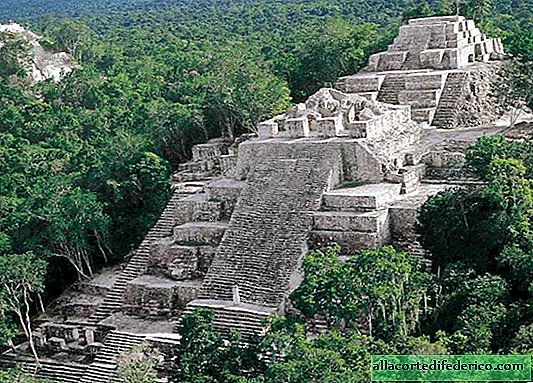 Калакмулі - стародавнє місто майя, який захоплюють джунглі