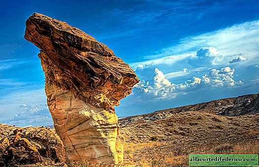 حجر الفطر من ولاية اريزونا