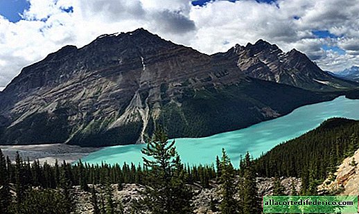 Kanadensiska sjön Peyto: varför den har en så fantastisk färg på vatten