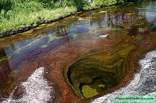 Kanyo Kristales - a legszebb folyó a Földön