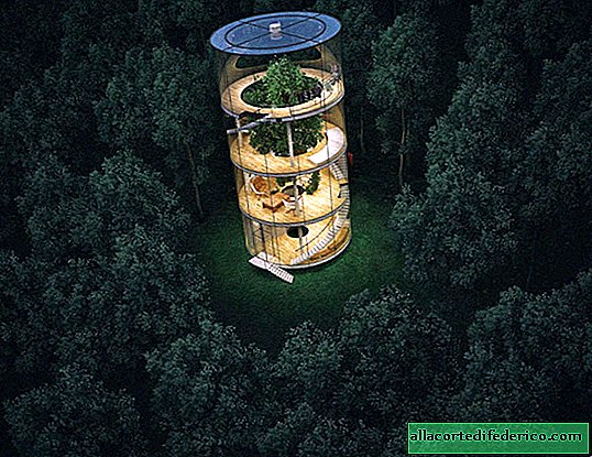 Kazachse architect ontwierp een glazen huis gebouwd rond een boom