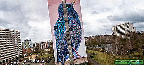Het lijkt gewoon een gigantische vogel op een van de huizen van Berlijn, maar ...
