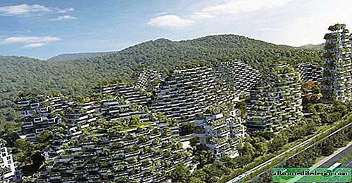 China begon met de bouw van een unieke "bosstad"