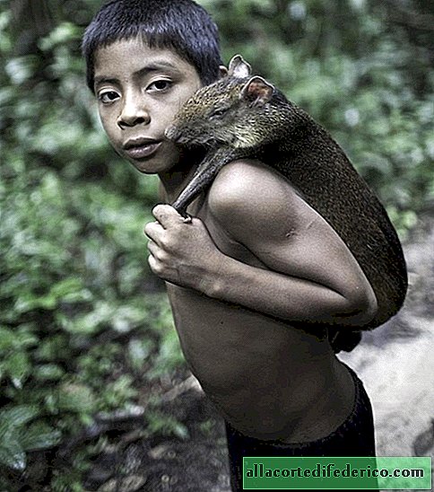 Breastfeeding animals with their children: how people from the wild Ava tribe live
