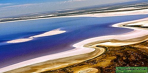 The beauty of the endangered Eyre Lake in Australia