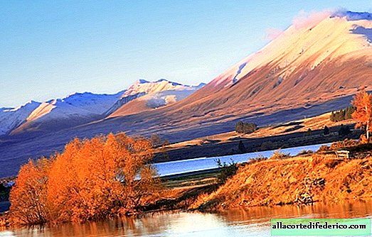 Цхрис Јеан слика пејзаже Новог Зеланда, чијом лепотом желим да плачем