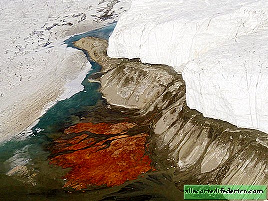 Bloedige waterval op de Taylor Glacier: waarom het zo'n griezelig uiterlijk heeft