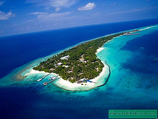 Vastuualue Kuramathi Malediivit