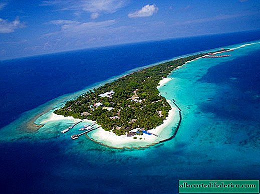 Kuramathi Maldives - a dream resort for those interested in the underwater world