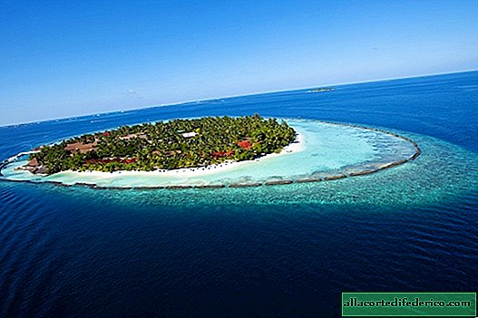 جولة الجزيرة المحلية في كورومبا المالديف