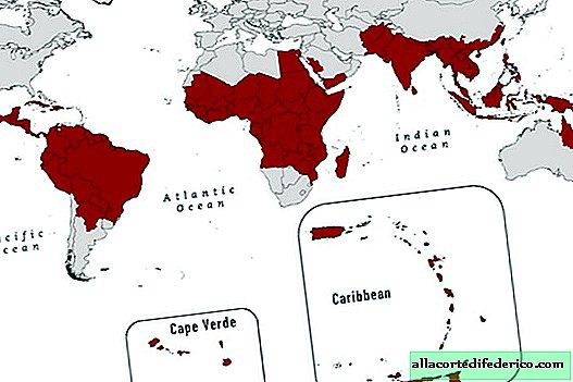 Dengue: il faut savoir quand on part en vacances dans les pays tropicaux