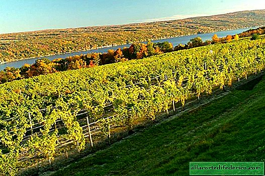 Best places for wine gourmets