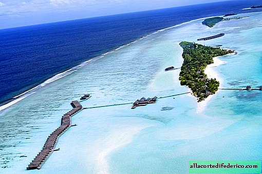 Podvodni festival na atolu Lux * South Ari