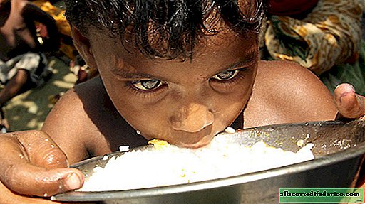 Kødelskere vil ikke være glade: FN har udviklet en diæt, der vil fodre verden