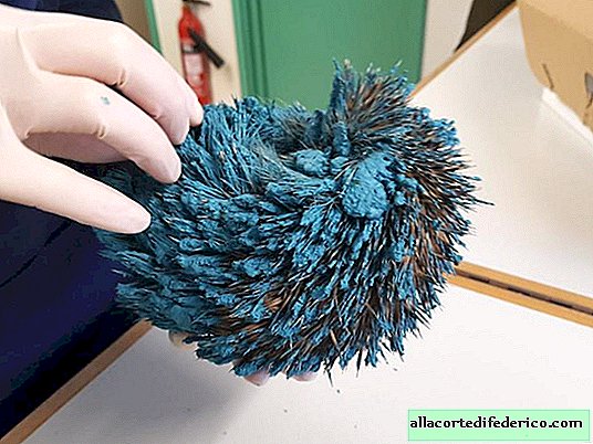 People found a strange blue ball in the garden that suddenly came to life and asked for help