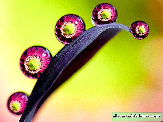 Closeup of water droplets showing the supernatural beauty of nature