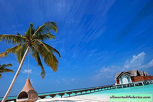 Malediven Resort hat einen Aktenvernichter für Pässe installiert