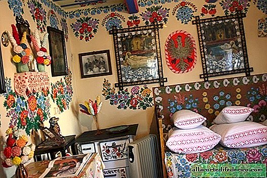 Malevana-hut: helder Pools dorp waar elk huis met de hand wordt geschilderd