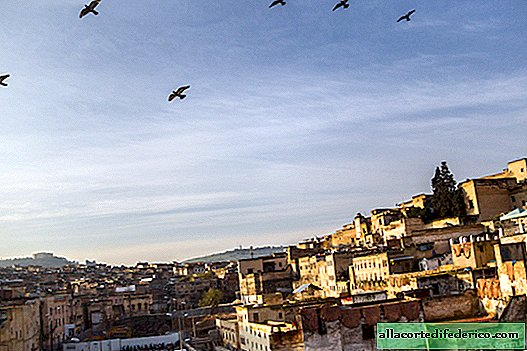 Maroko, Fez, warsztaty skórzane