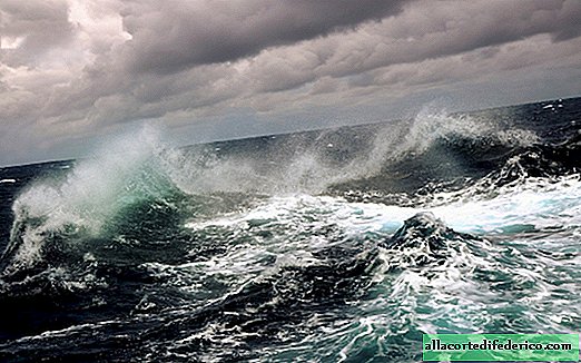 The place is worse than the Bermuda Triangle, which sailors call the Sea of ​​the Devil