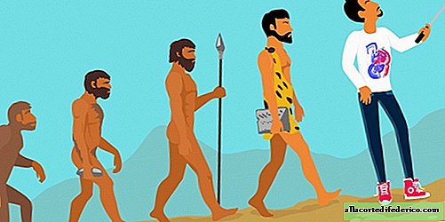 We are getting fat, getting smarter and losing teeth: in what direction is the evolution of man