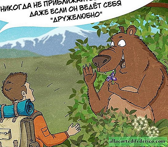 رسم فنان موسكو كوميديا ​​حول قواعد السلوك مع الدببة