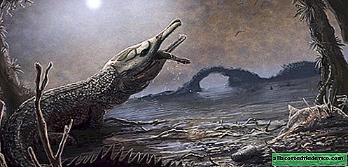 Een nieuwe soort oude krokodil werd genoemd ter ere van de solist van Motörhead