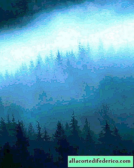 Düster atmosphärische und mysteriöse Waldfotos von Dylan Forst