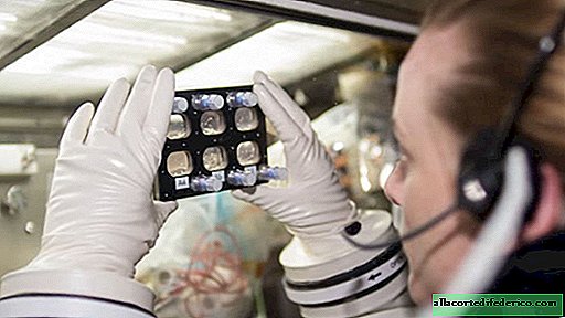 New strains of bacteria that are resistant to antibiotics were discovered on the ISS