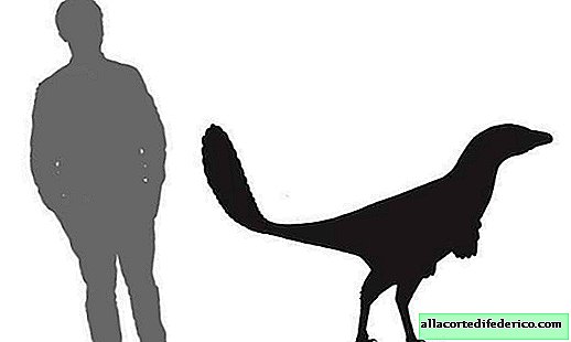 Диносаур који је пронађен пре много година показао се као нова врста.