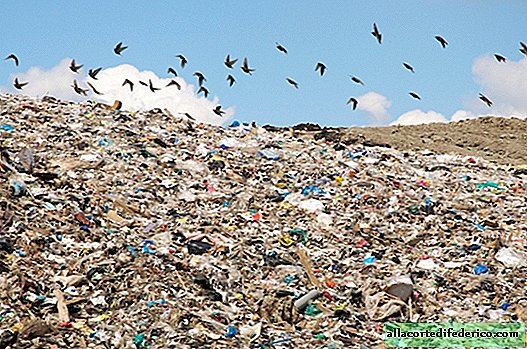 Our descendants will be "grateful" to us: how many years different types of garbage decompose