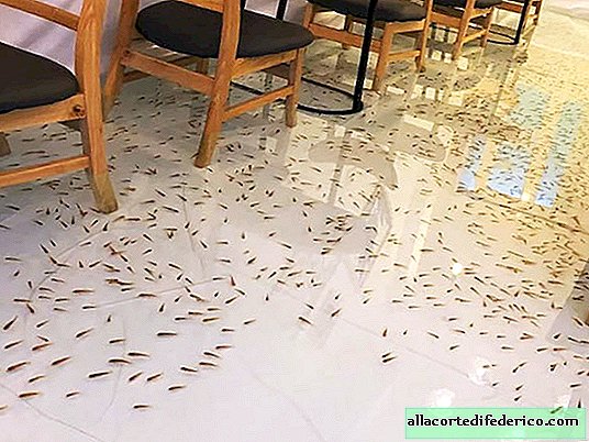 Don’t step on the fish: there is a unique flooded cafe in Vietnam