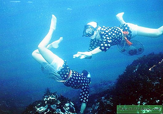 No Men: The Exclusively Female Diving Profession in Japan