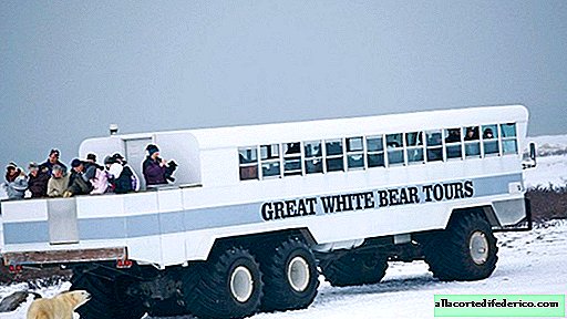 Ansikte mot ansikte med isbjörnar: det första arktiska hotellet