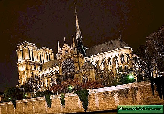Notre Dame herbouwd met behulp van nieuwe technologieën