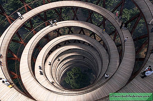 Een nieuw formaat voor boswandelingen: een enorme spiraalvormige toren zal midden in het bos in Denemarken verschijnen