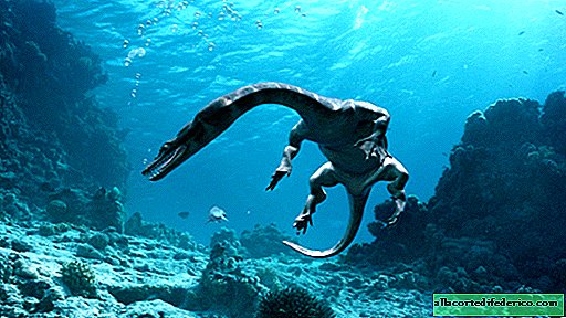 O czym mówił „główny duch Wołgi” - pliozaur znaleziony na brzegu rzeki